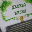 Дерево жизни - Центральная городская библиотека